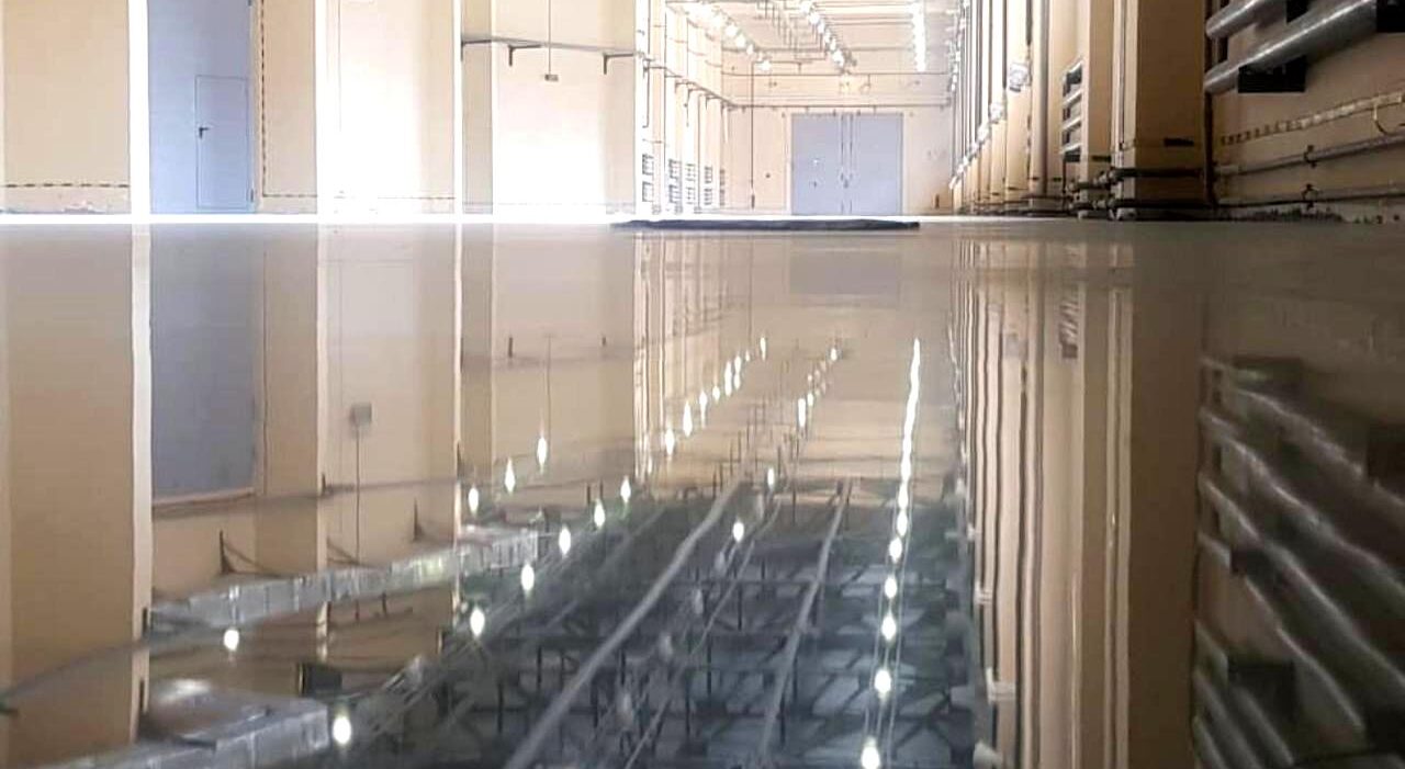 photo_premium_reflection